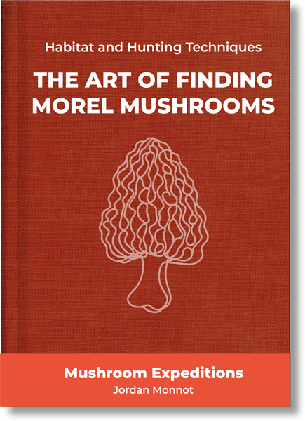 Hunting Guide for Morels
