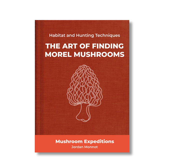 pack discovery morel mushrooms